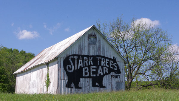 Old Stark Bro's Barn
