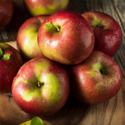 View full size image red apple with a bit of green