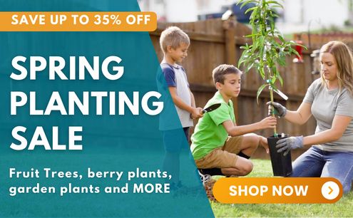 Save up to 35% off during the Spring Planting Sale!