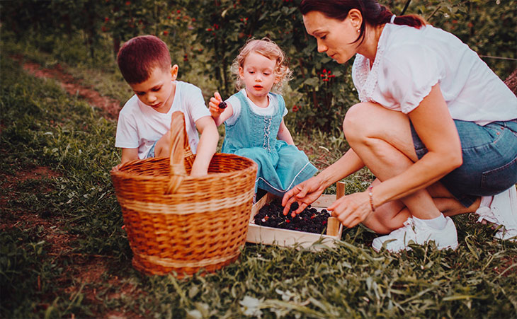 Photo of family sitting in an orchard with a basket of blueberries