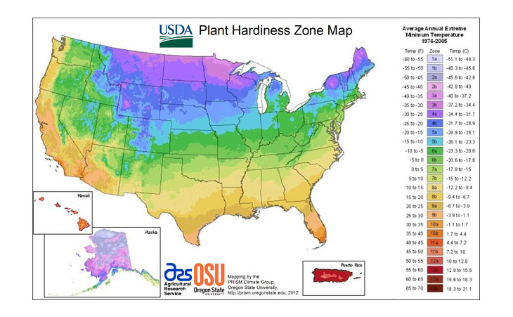 Things To Know About Hardiness Zones Plant Hardiness Zone Map Hot Sex Picture 9965