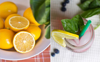 Blueberry Basil Meyer Lemonade Recipe Stark Bro S