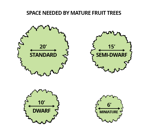 What Does Recommended Spacing Mean Stark Bros 8509