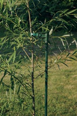 View full size image Photo of Tree Stake