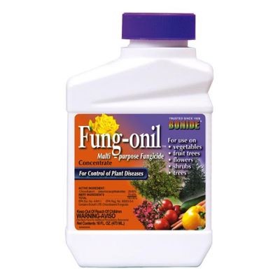 View full size image Photo of Bonide® Fung-onil™ Multi-Purpose Fungicide