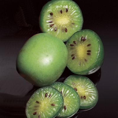 View full size image Photo of Anna Hardy Kiwi Vine