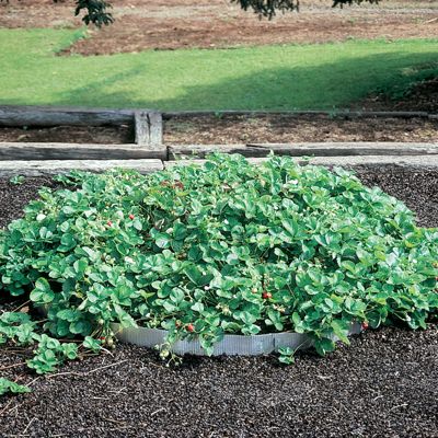 View full size image Photo of Pyramid Planter