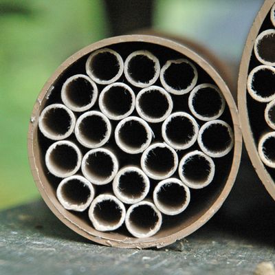 View full size image Photo of Mason Bee Nests