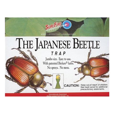 View full size image Photo of Japanese Beetle Trap