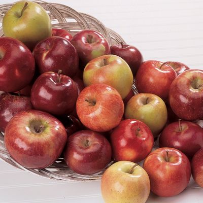 View full size image Photo of 4-on-1 Antique Apple Tree