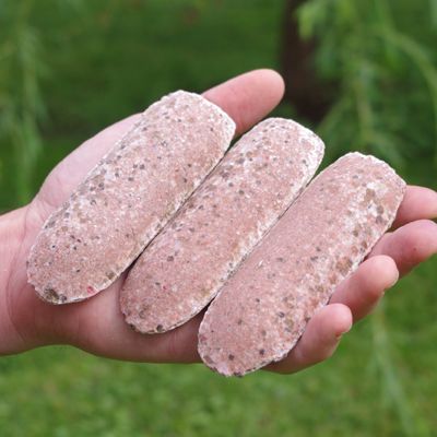 View full size image Photo of Fruit Tree & Ornamental Gro-Stakes®