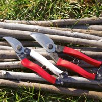 Pro Line Bypass Pruner - Stark Bro's