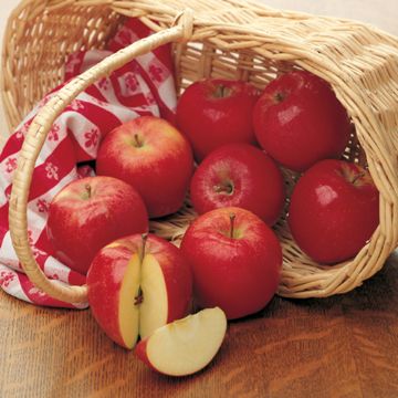 Photo of Rooted in American History Apple Tree Collection