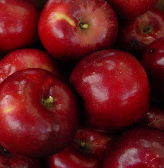 Red Delicious Apple 50 Count Gift Box