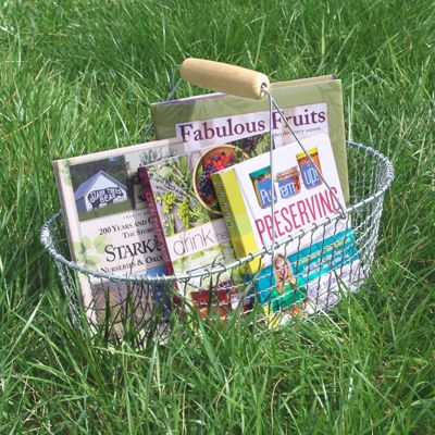 View full size image Photo of Basket of Books
