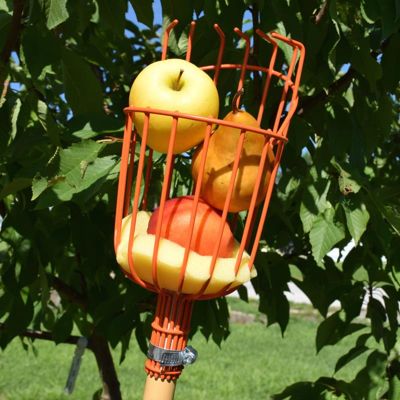 View full size image Photo of Seymour® Fruit Picker