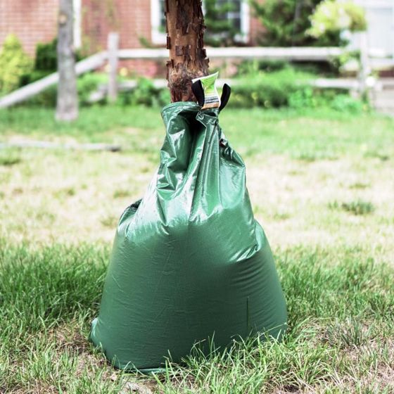 Oasis™ Tree Watering Bag - Stark Bro's