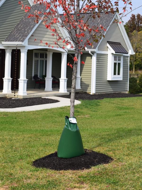 Oasis™ Tree Watering Bag - Stark Bro's