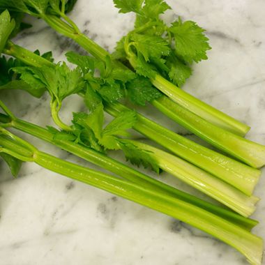 Photo of Tendercrisp Celery Seed