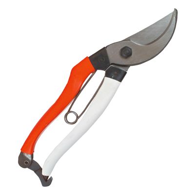 View full size image Okatsune Pruners