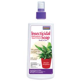 Photo of insecticidal soap.