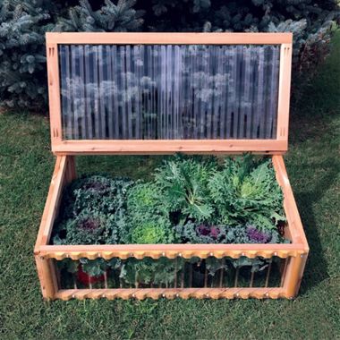 Photo of cold frame.