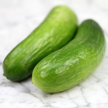 Photo of cucumbers