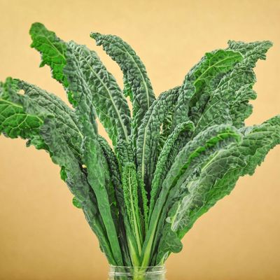 View full size image Photo of cabbage