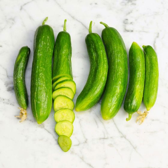 Photo of cucumbers.