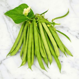 Photo of beans.