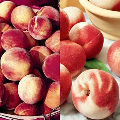 Photo collage of two peach varieties.