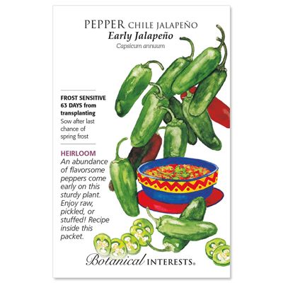 View full size image Early Jalapeno Chile Pepper Seed
