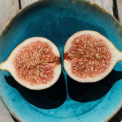 View full size image Italian Honey Fig cut in half