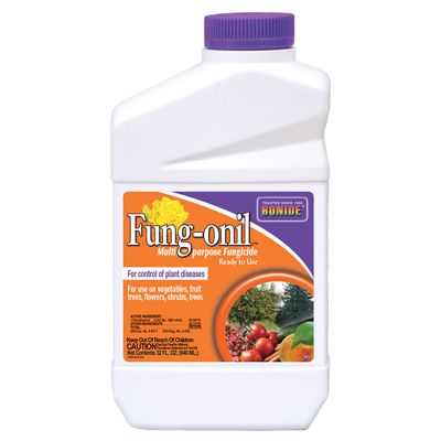 View full size image Bonide® Fung-onil™ Multi-Purpose Fungicide