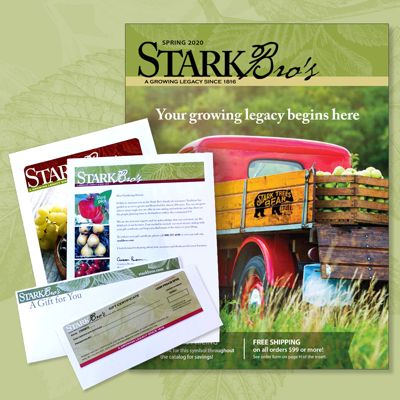 View full size image Stark Bro's Catalog and Gift Certificate