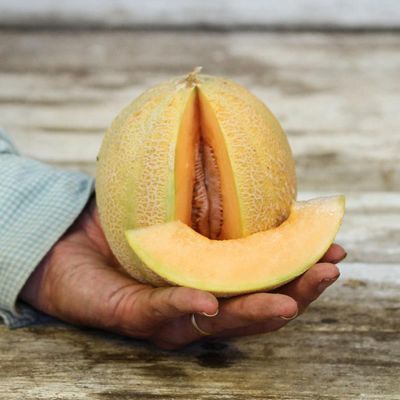 View full size image Minnesota Midget Melon Seed