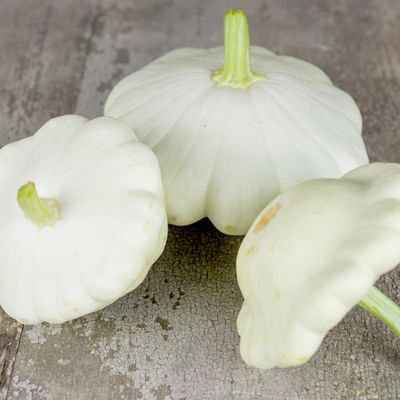 View full size image White Scallop Summer Squash Seed