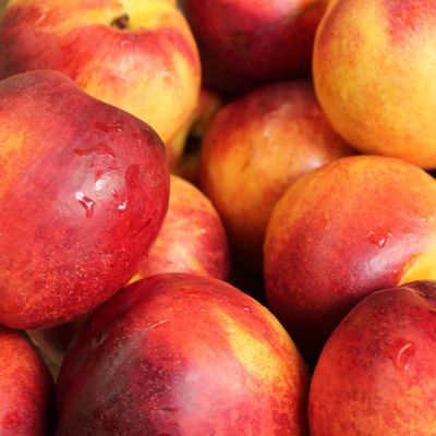 View full size image Desert Delight Nectarines