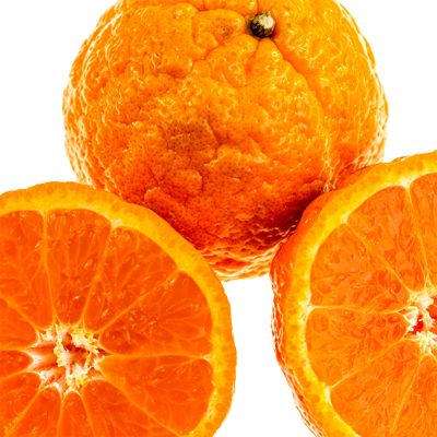 View full size image Sliced in half Golden Nugget Mandarin Orange