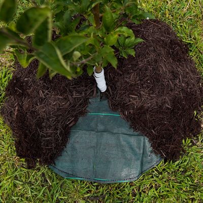 View full size image Dewitt Tree Mat Circle 3'x3' with mulch