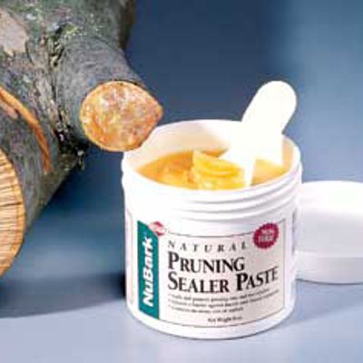 View full size image Photo of NuBark™ Pruning Sealer Paste