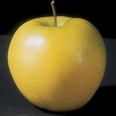 yellow apple