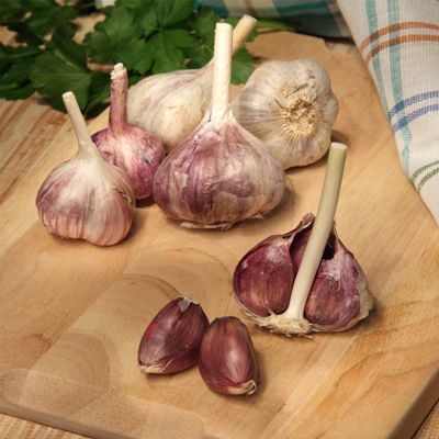 View full size image garlic cloves