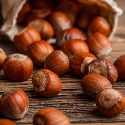 View full size image hazelnuts on table falling from bag