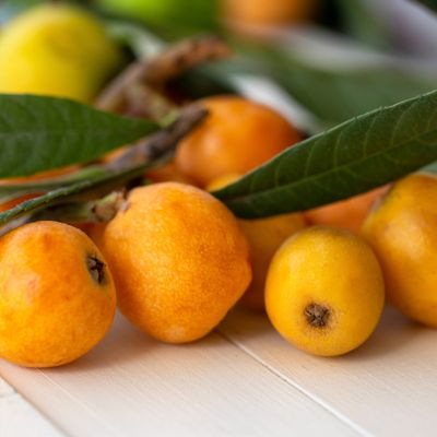 View full size image ripe loquat fruit and leaves on white table