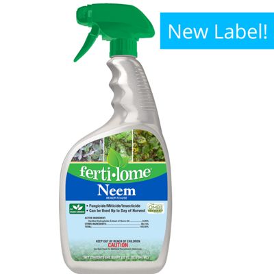 View full size image spray bottle of neem