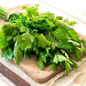 bundle of parsley on cutting board