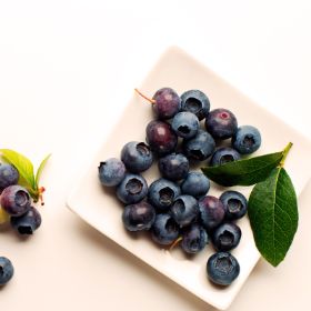 IRIIS phytoprotection - Fiche technique, Bleuet à feuilles étroites (syn.  Bleuet à fruits pruineux) - Early lowbush blueberry (syn. Lowbush blueberry)