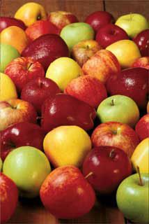 Starkspur® Golden Delicious Apple Tree