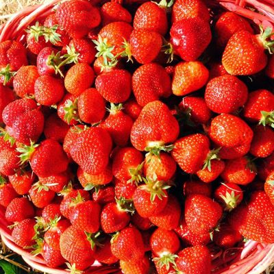 View full size image Basket of fresh strawberries